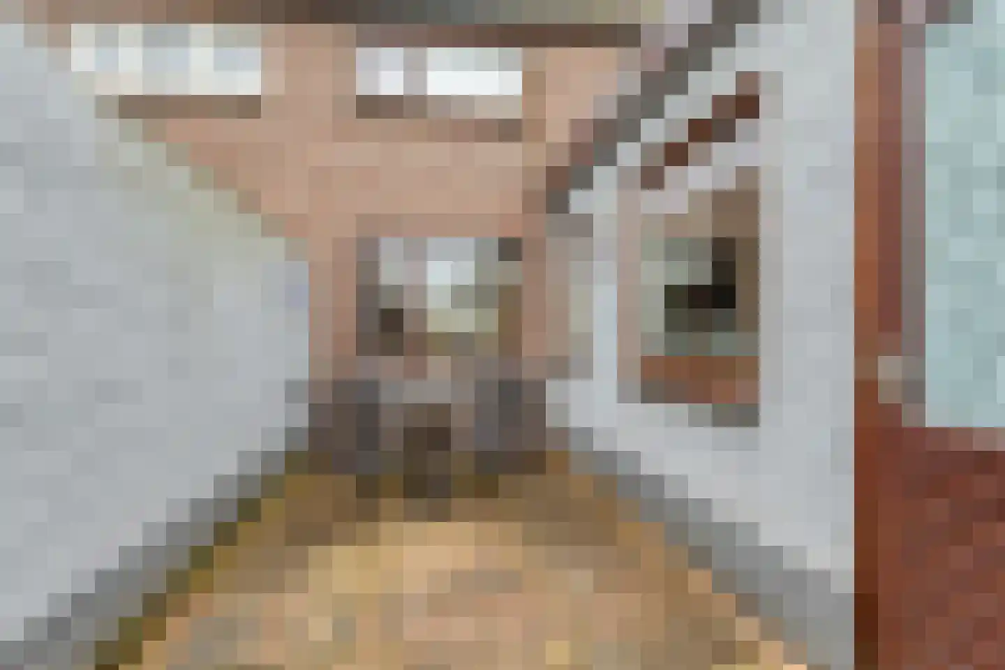 Eikendreef 9 Mierlo thumbnail 24