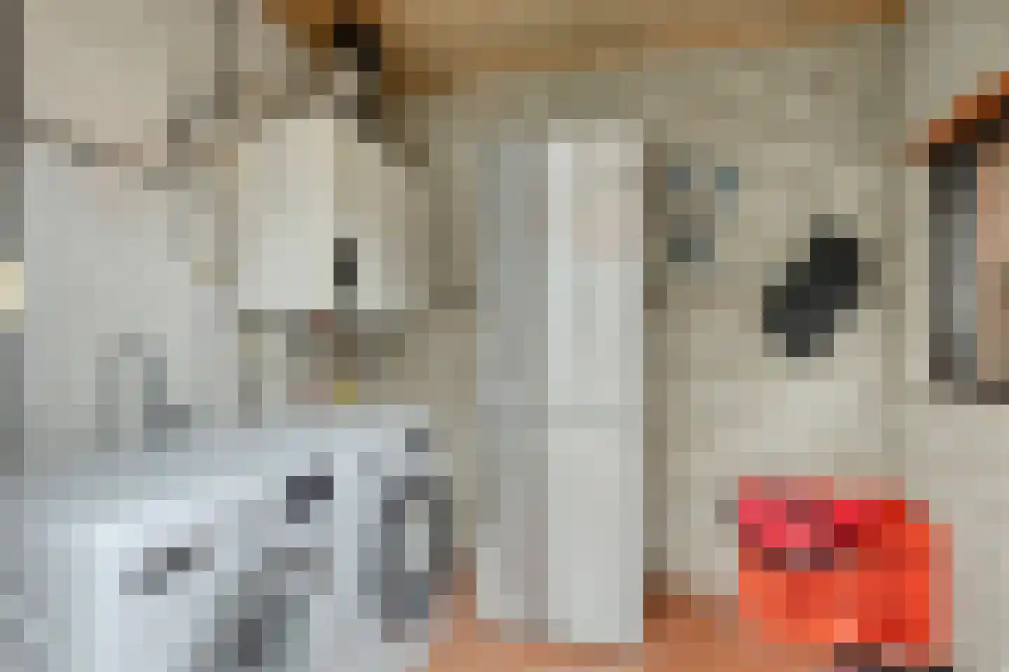 Eikendreef 9 Mierlo thumbnail 25