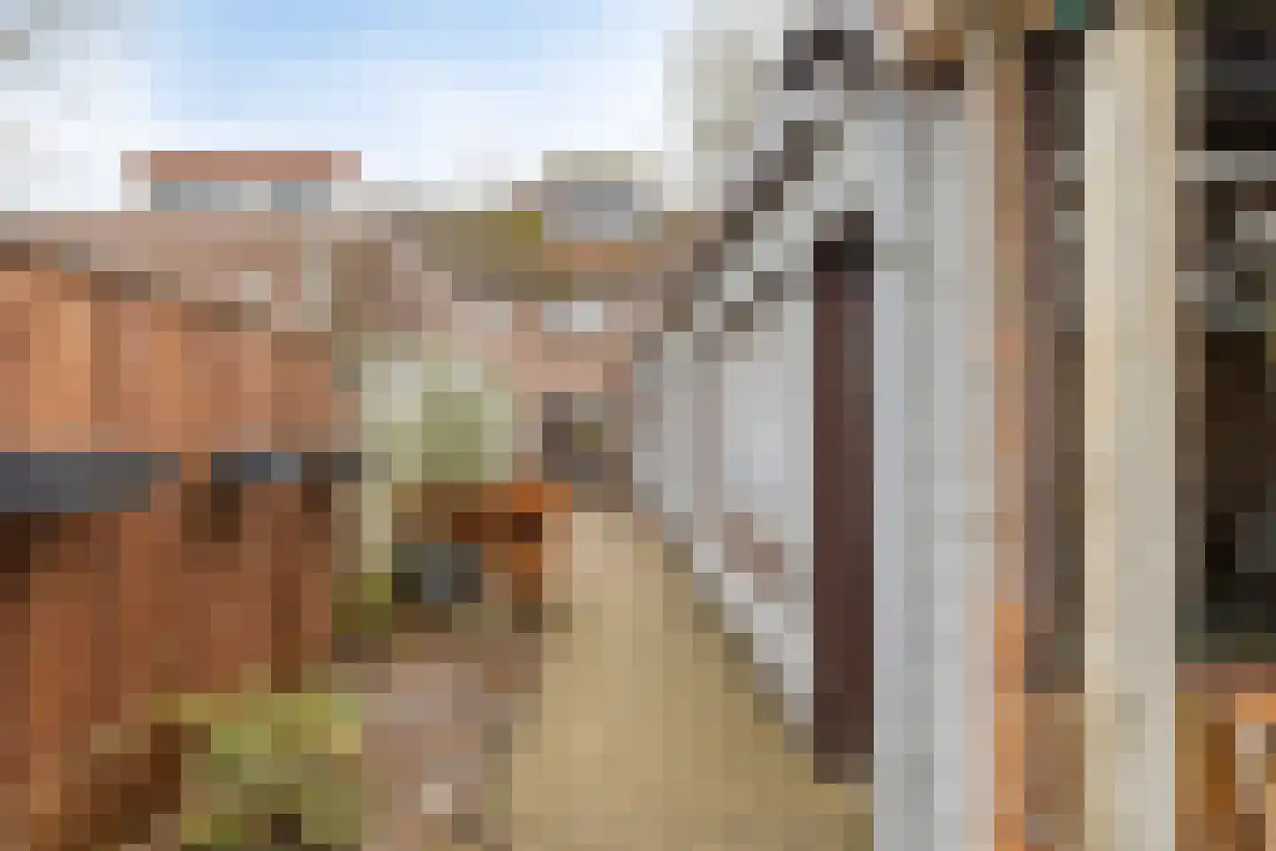 Eikendreef 9 Mierlo thumbnail 29