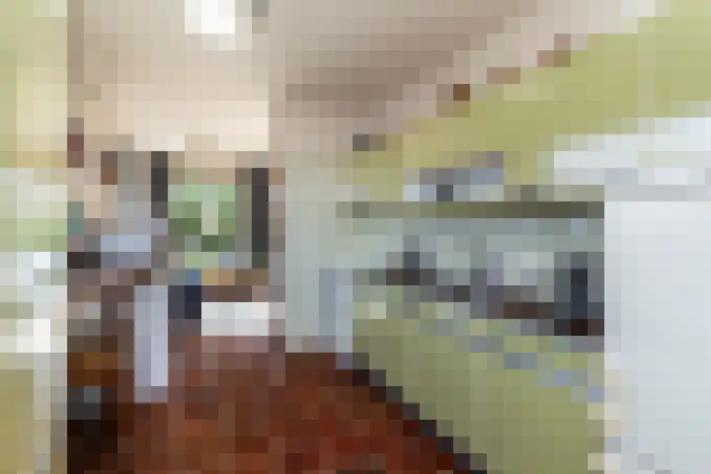 Eikenduinen 1 Pijnacker thumbnail 12