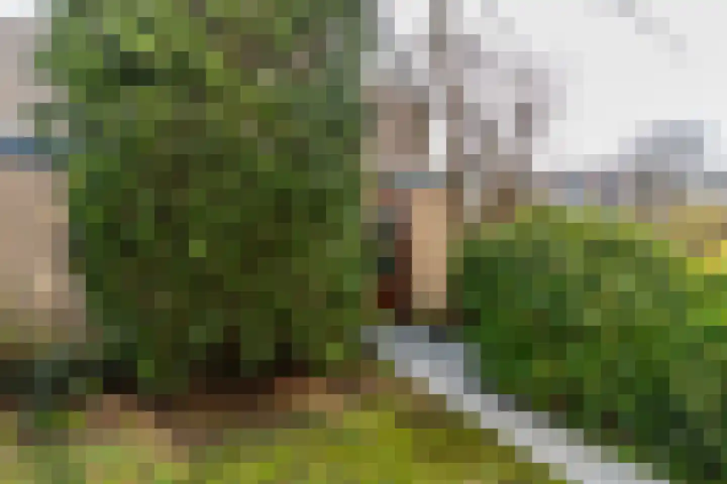 Eikenduinen 1 Pijnacker thumbnail 21