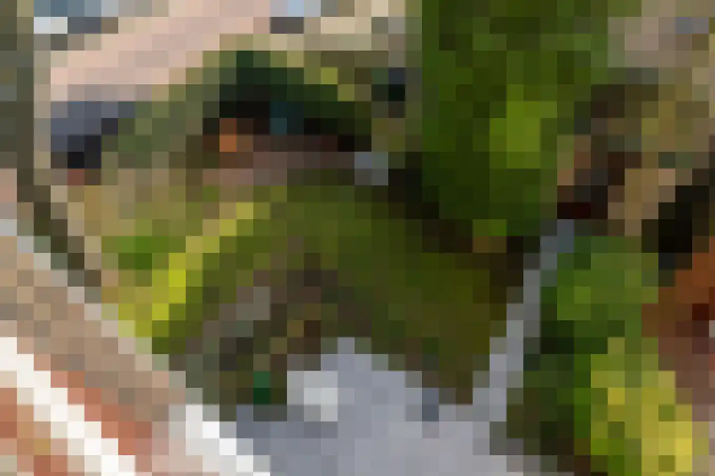 Eikenduinen 1 Pijnacker thumbnail 25