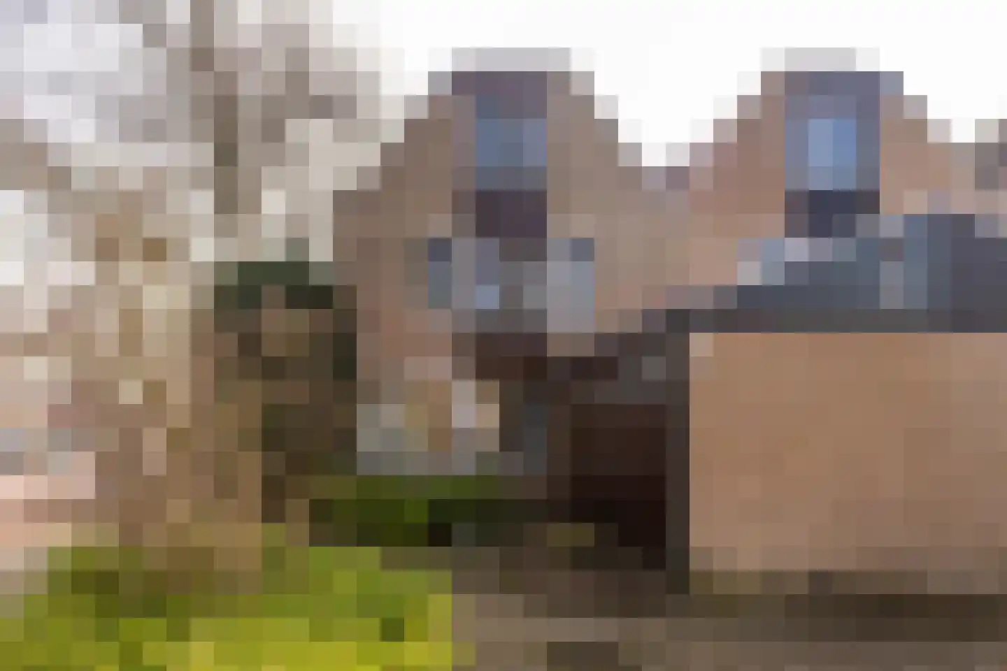 Eikenduinen 1 Pijnacker foto 3