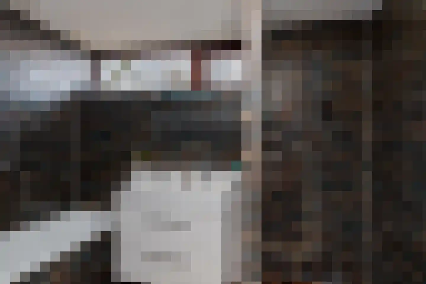 Eikenduinen 1 Pijnacker thumbnail 30
