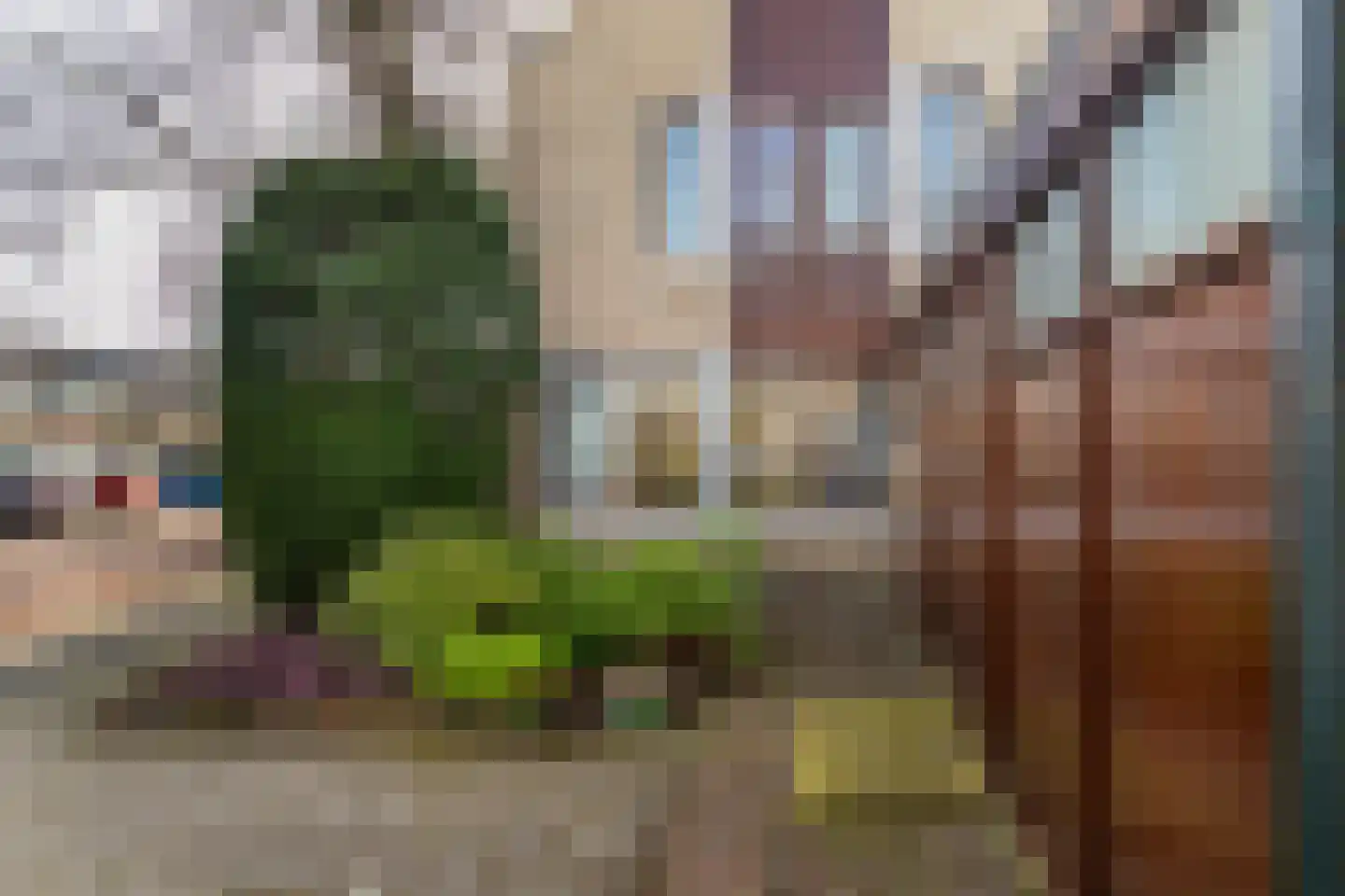 Eikenduinen 1 Pijnacker thumbnail 43
