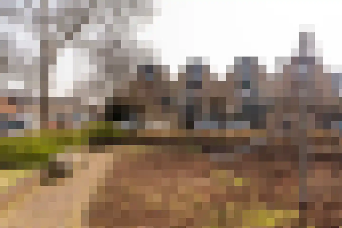 Eikenduinen 1 Pijnacker thumbnail 44