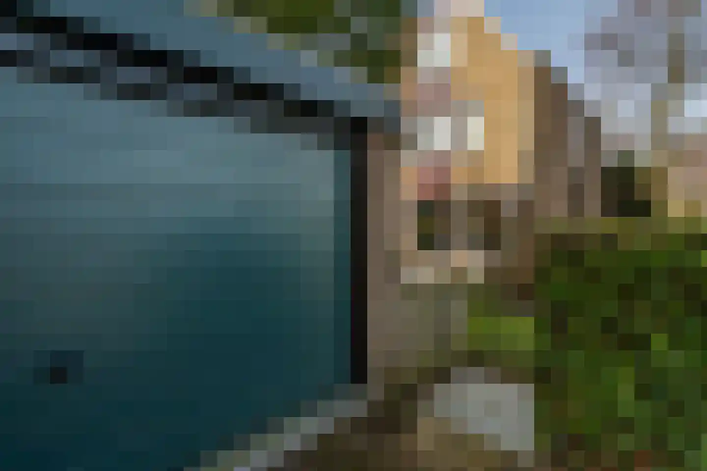 Eikenduinen 1 Pijnacker thumbnail 45