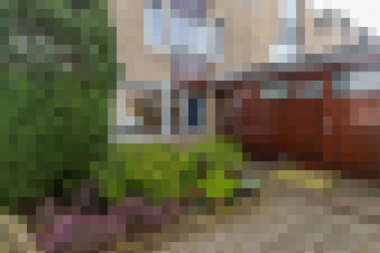 Eikenduinen 1 Pijnacker thumbnail 6