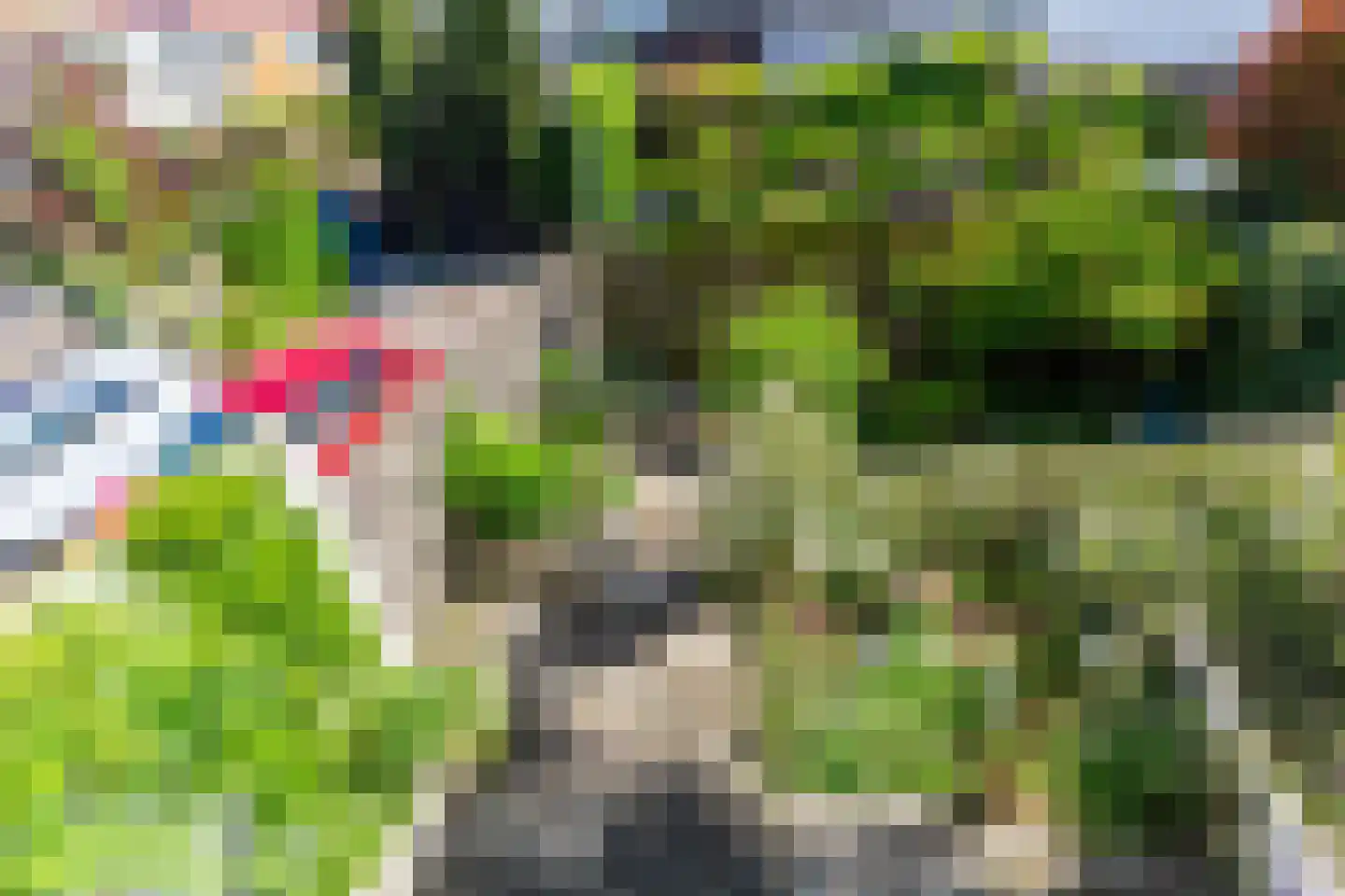 Eikenduinen 9 Pijnacker thumbnail 21
