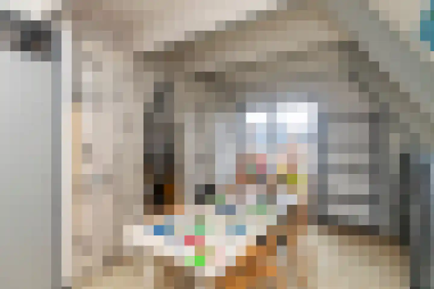 Eikenduinen 9 Pijnacker thumbnail 37