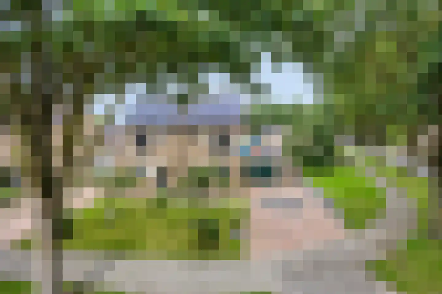 Eikenhage 42 Stadskanaal thumbnail 11