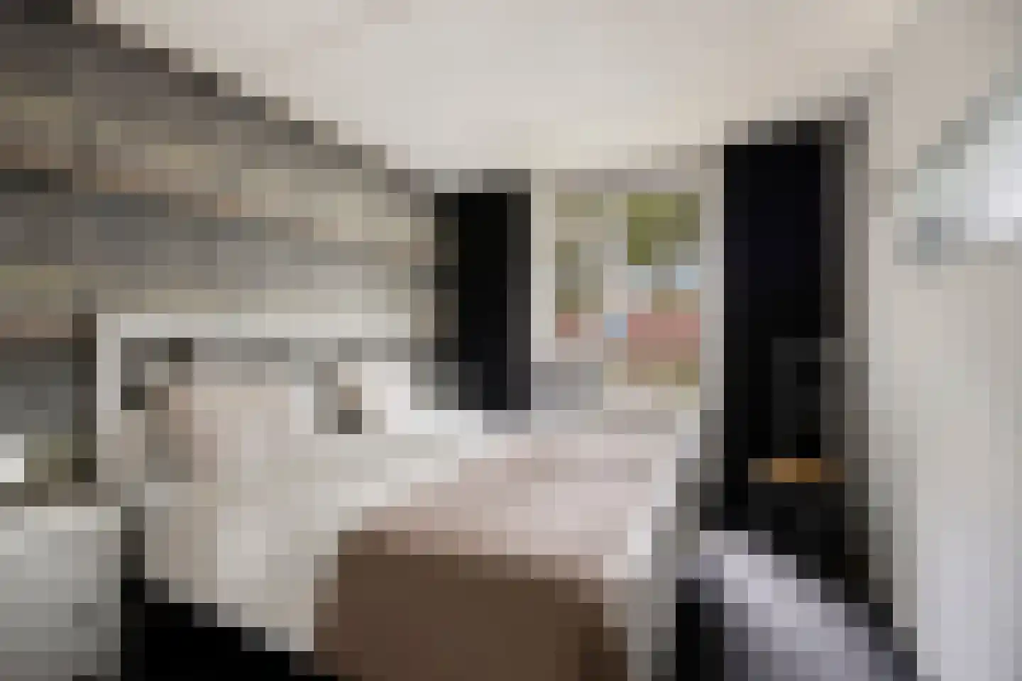 Eikenhage 42 Stadskanaal thumbnail 22