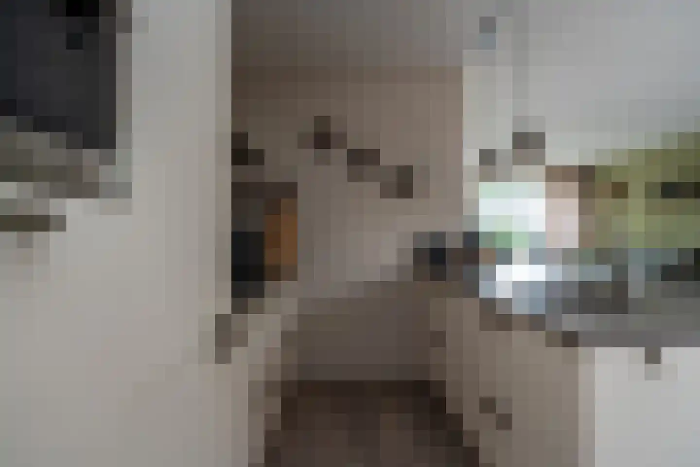 Eikenhage 64 Stadskanaal thumbnail 11