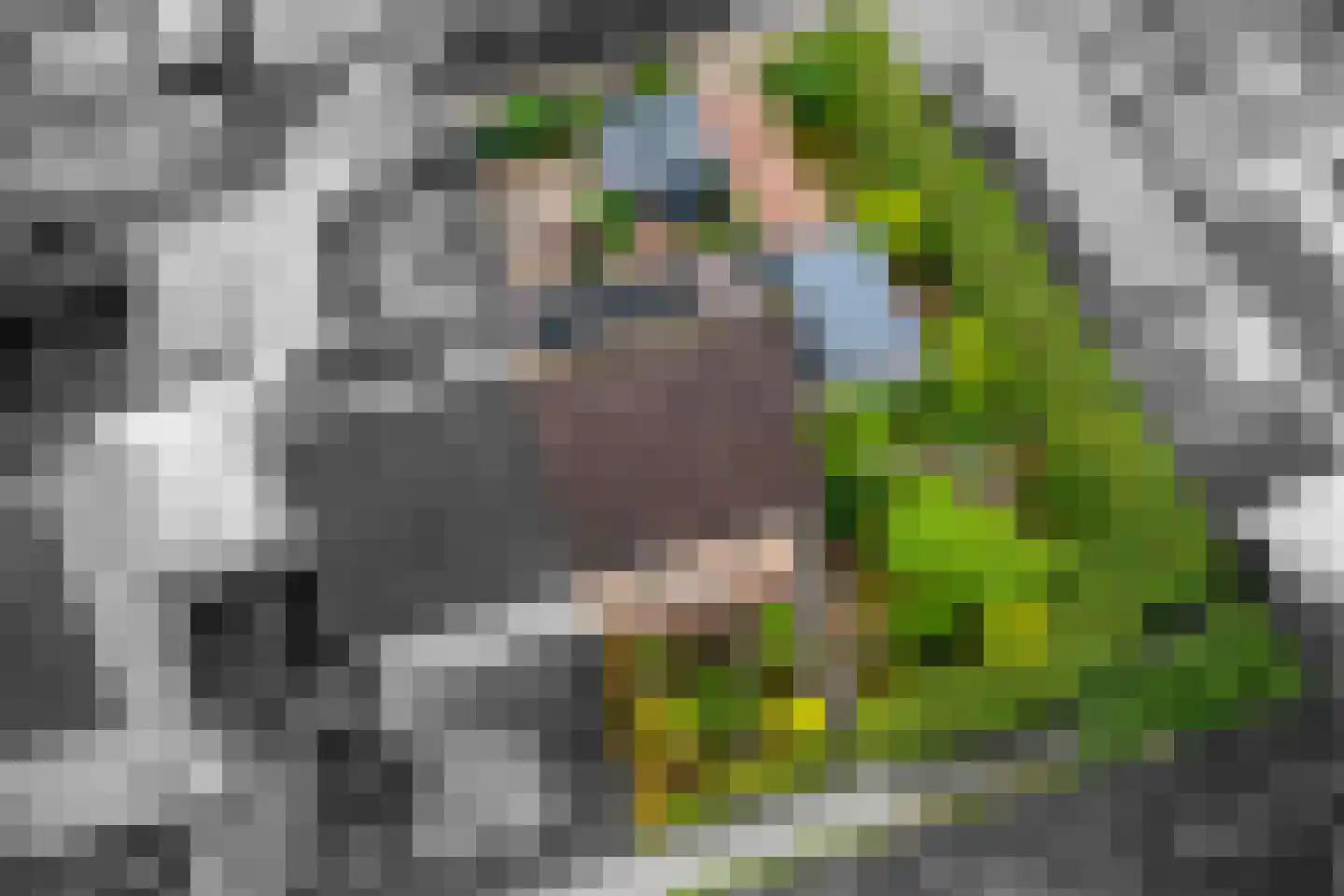 Eikenhage 64 Stadskanaal thumbnail 48