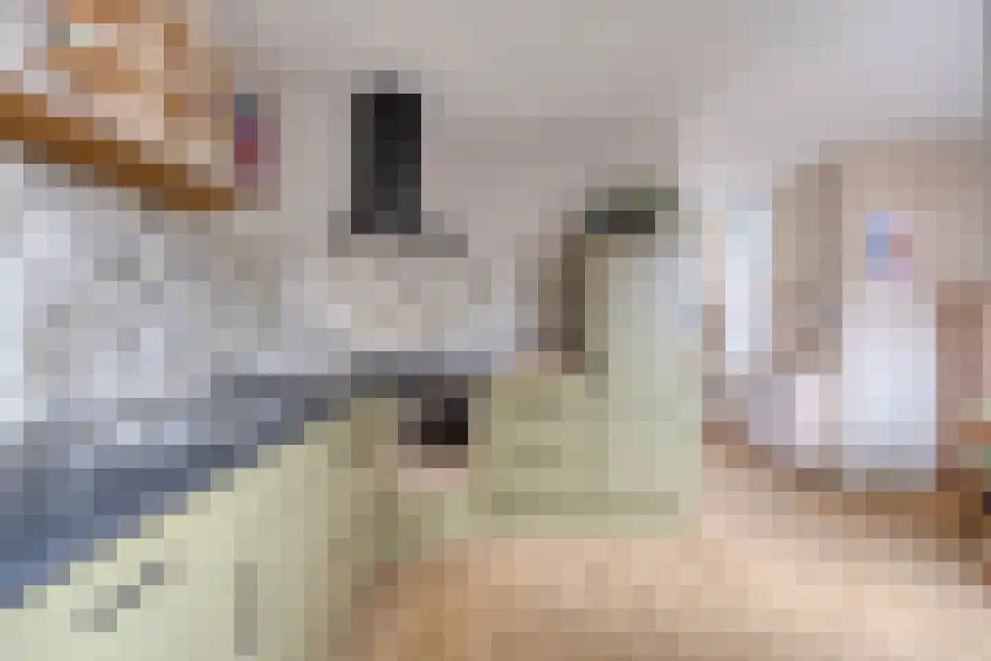 Eikenhage 8 Stadskanaal thumbnail 22