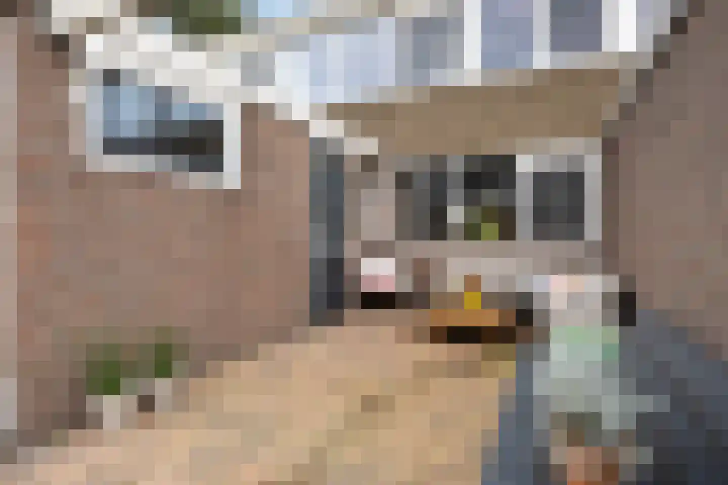 Eikenhage 8 Stadskanaal thumbnail 38