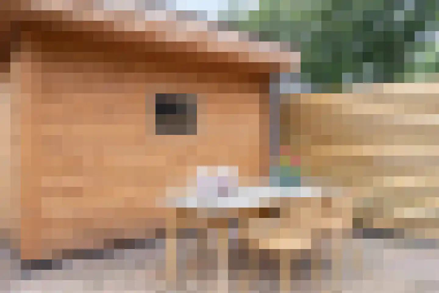 Eikenhage 8 Stadskanaal thumbnail 39