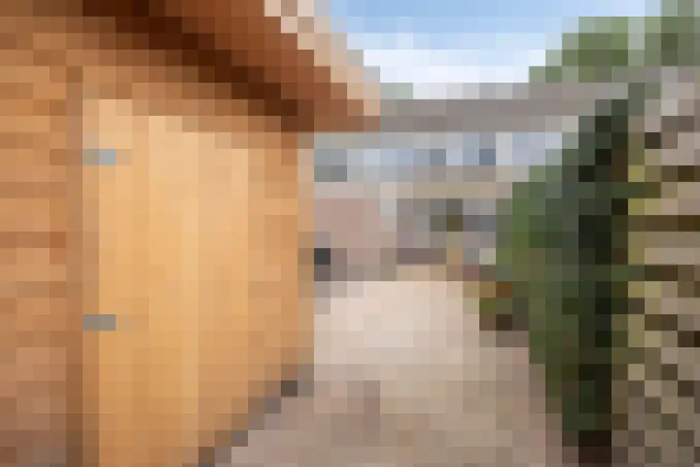 Eikenhage 8 Stadskanaal thumbnail 40