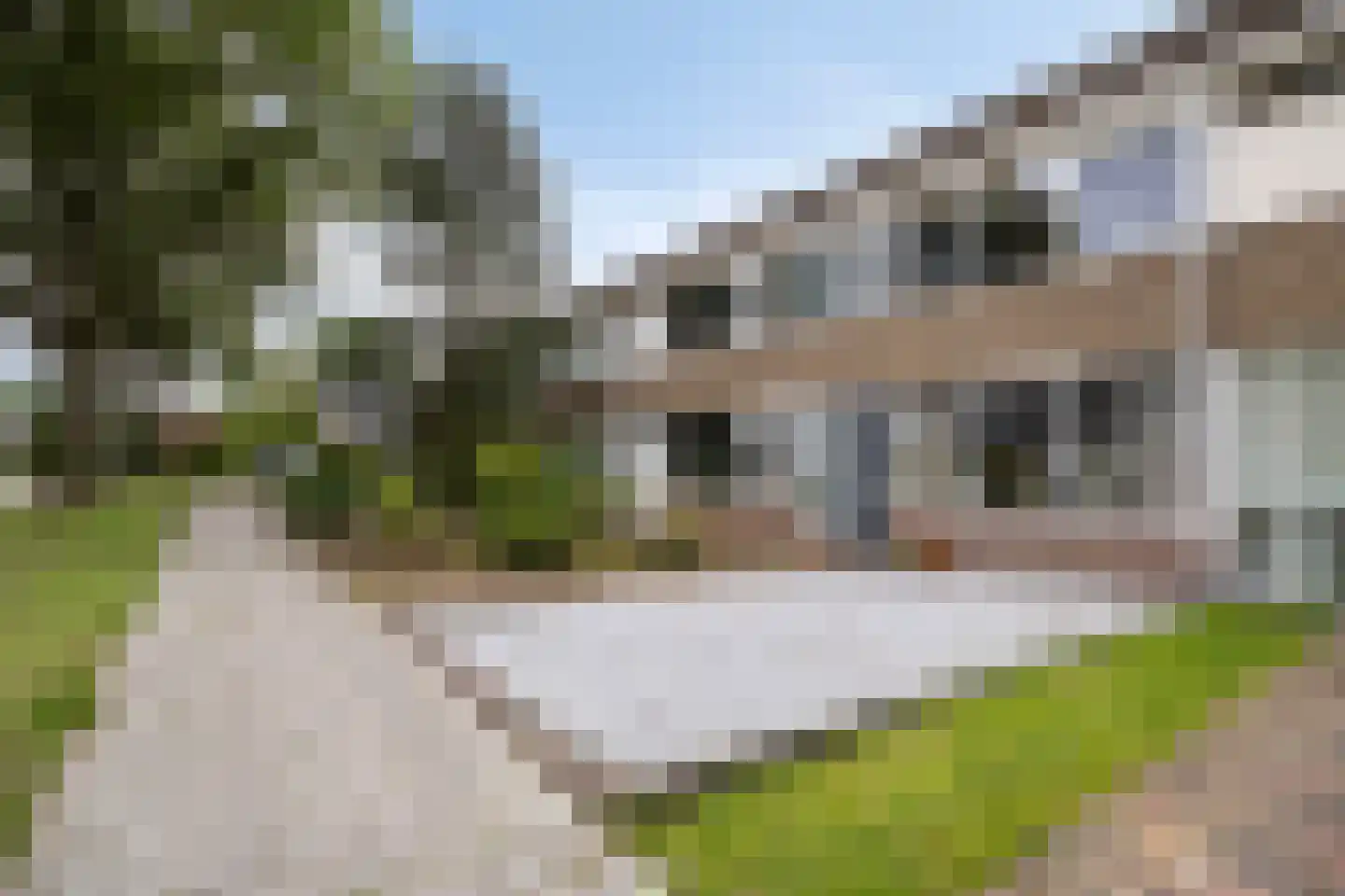Eikenhage 8 Stadskanaal thumbnail 5