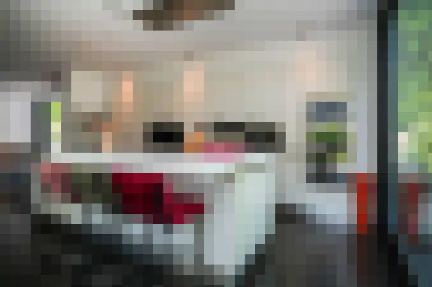 Eikenheuveldreef 6 Vught thumbnail 13