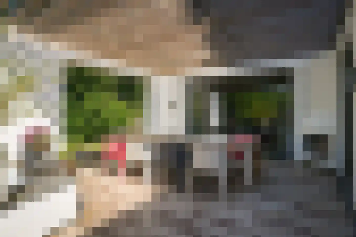 Eikenheuveldreef 6 Vught thumbnail 35