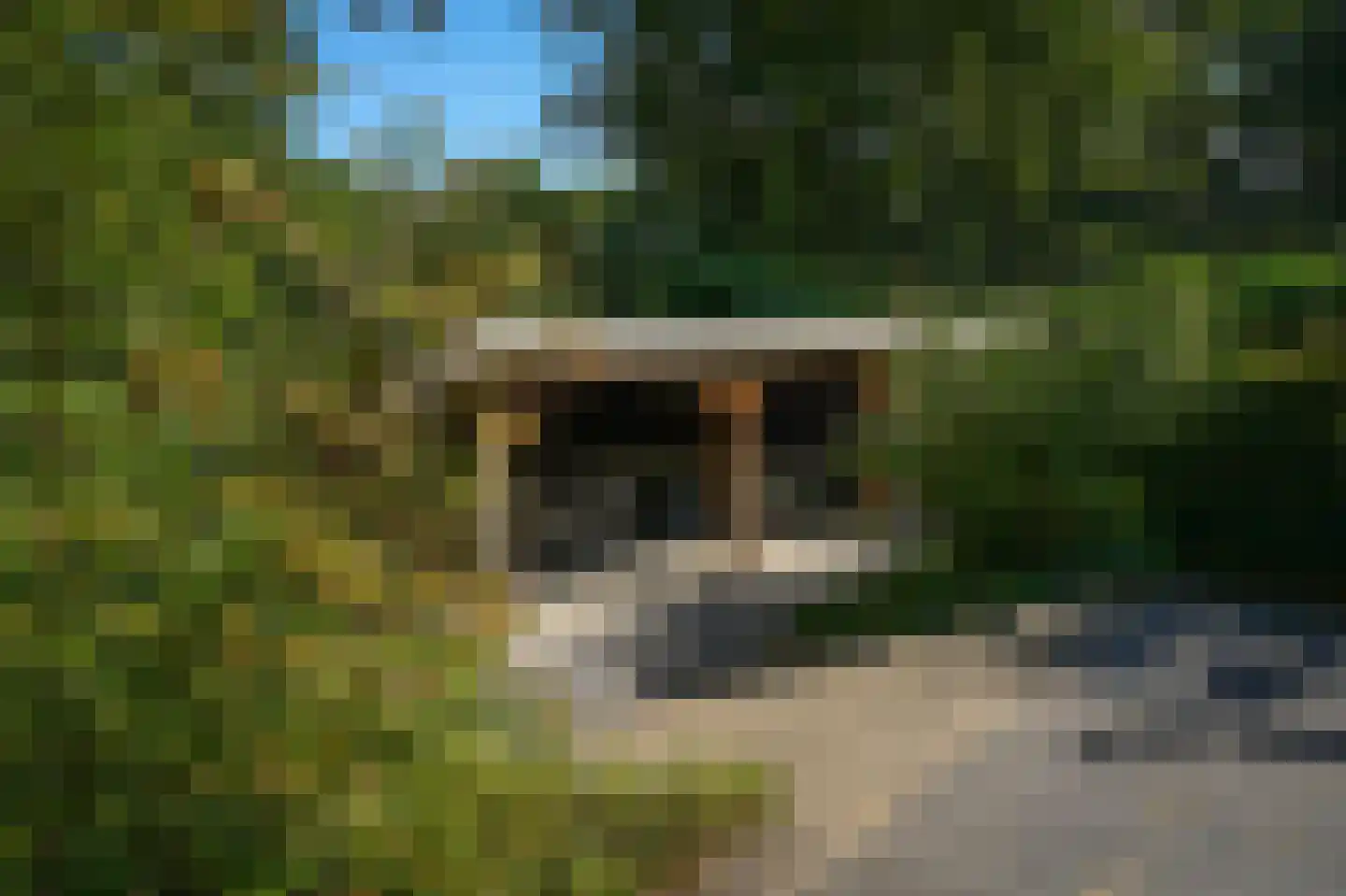 Eikenheuveldreef 6 Vught thumbnail 42