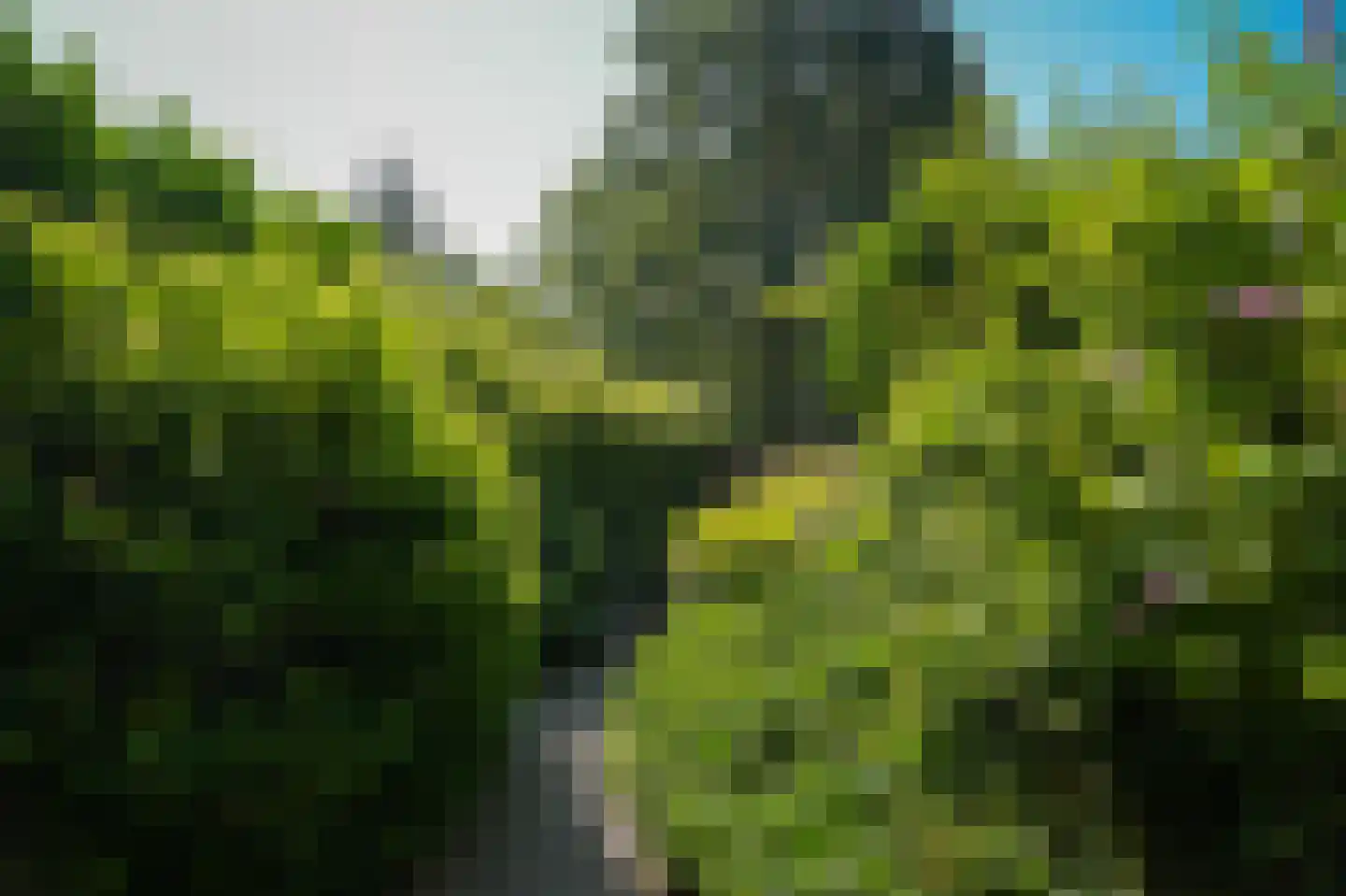 Eikenheuveldreef 6 Vught thumbnail 45