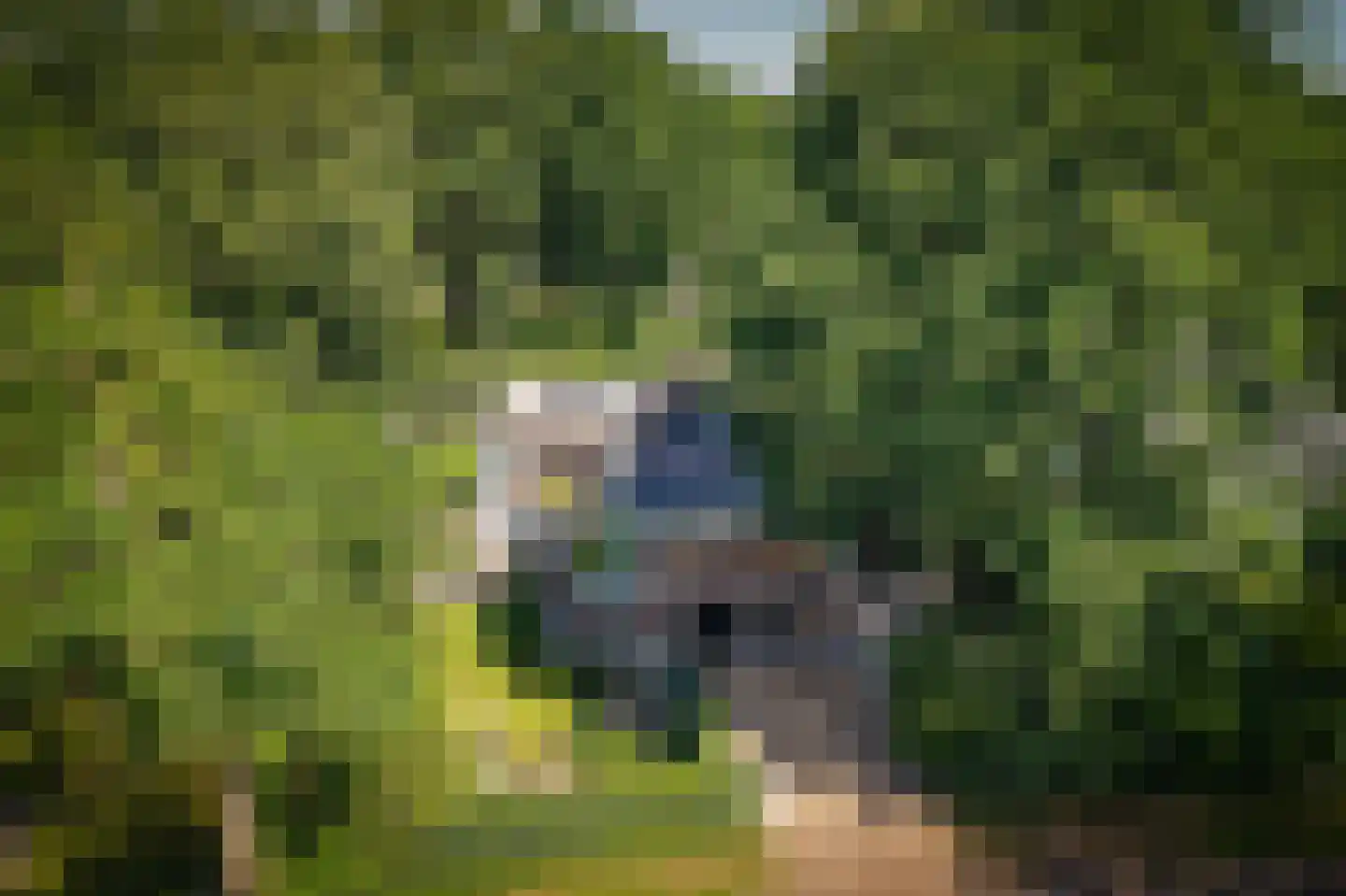 Eikenheuveldreef 6 Vught thumbnail 53
