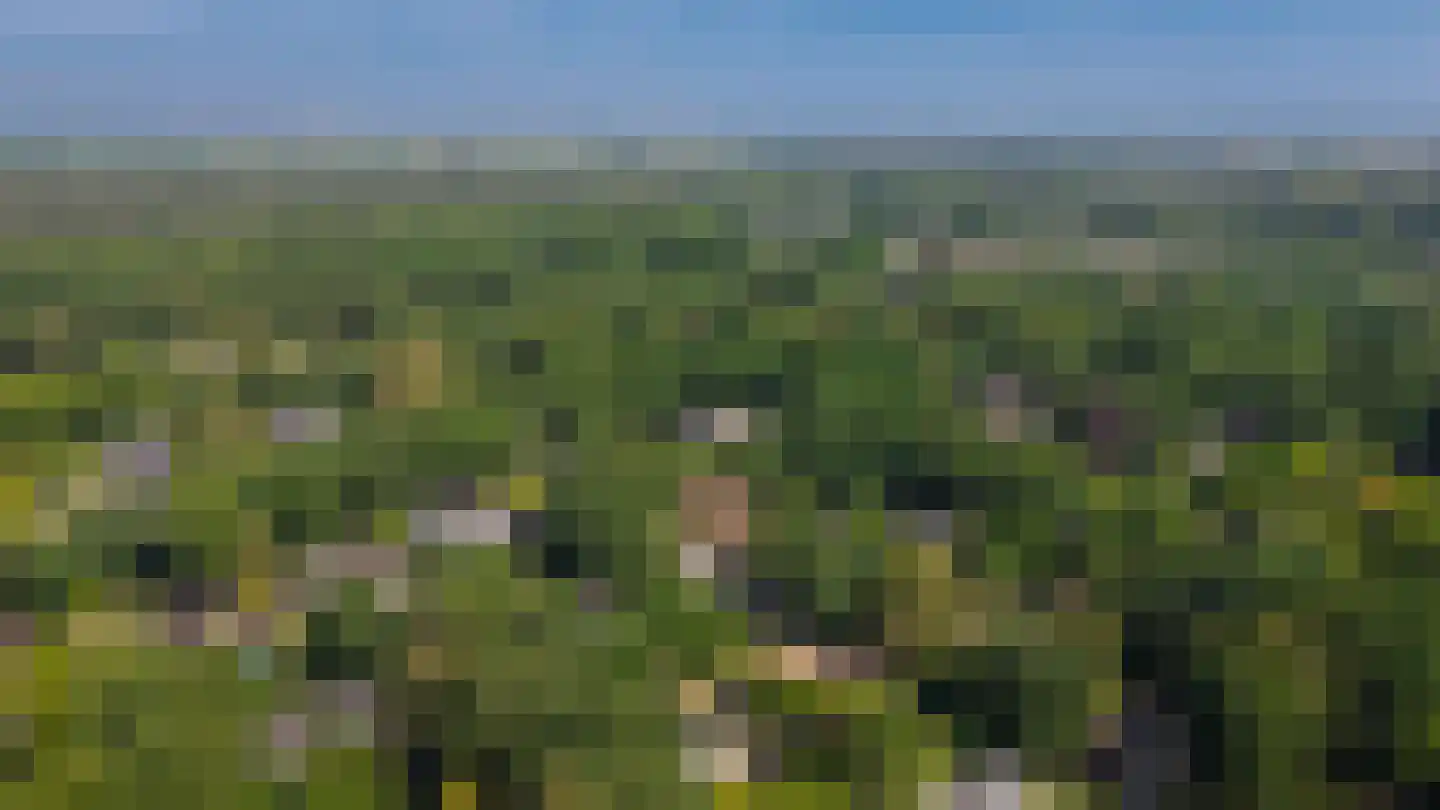 Eikenheuveldreef 6 Vught thumbnail 55
