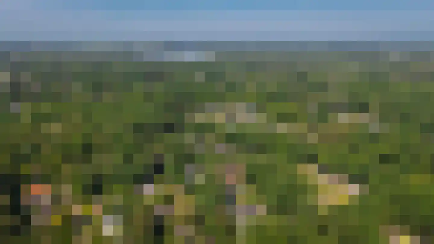Eikenheuveldreef 6 Vught thumbnail 56
