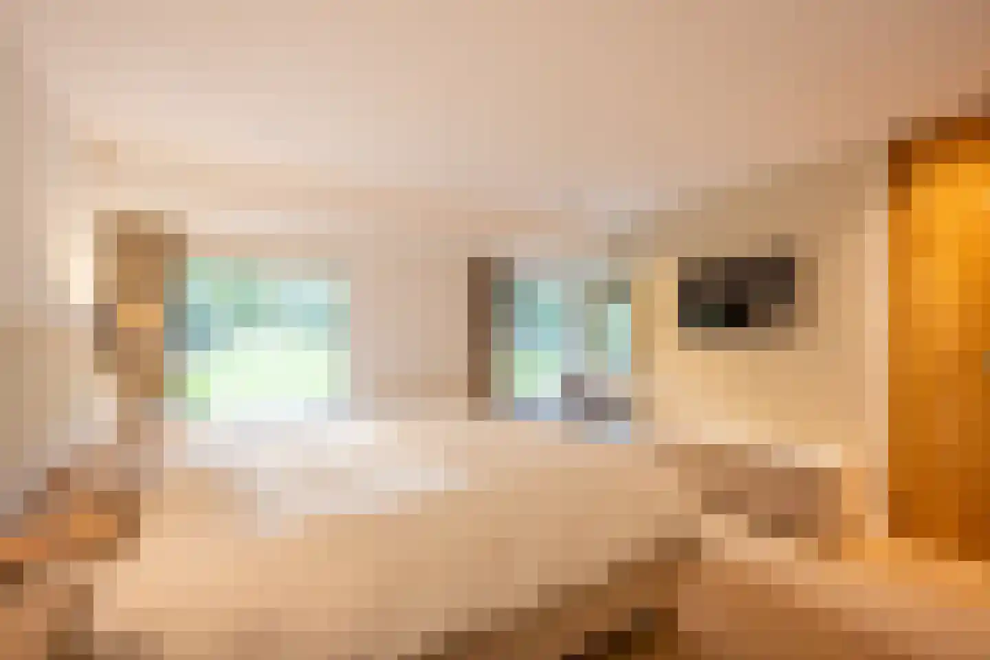 Eikenheuveldreef 7 Vught thumbnail 24