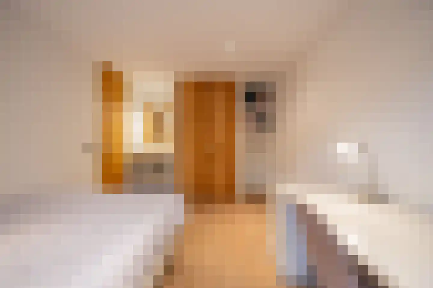 Eikenheuveldreef 7 Vught thumbnail 33