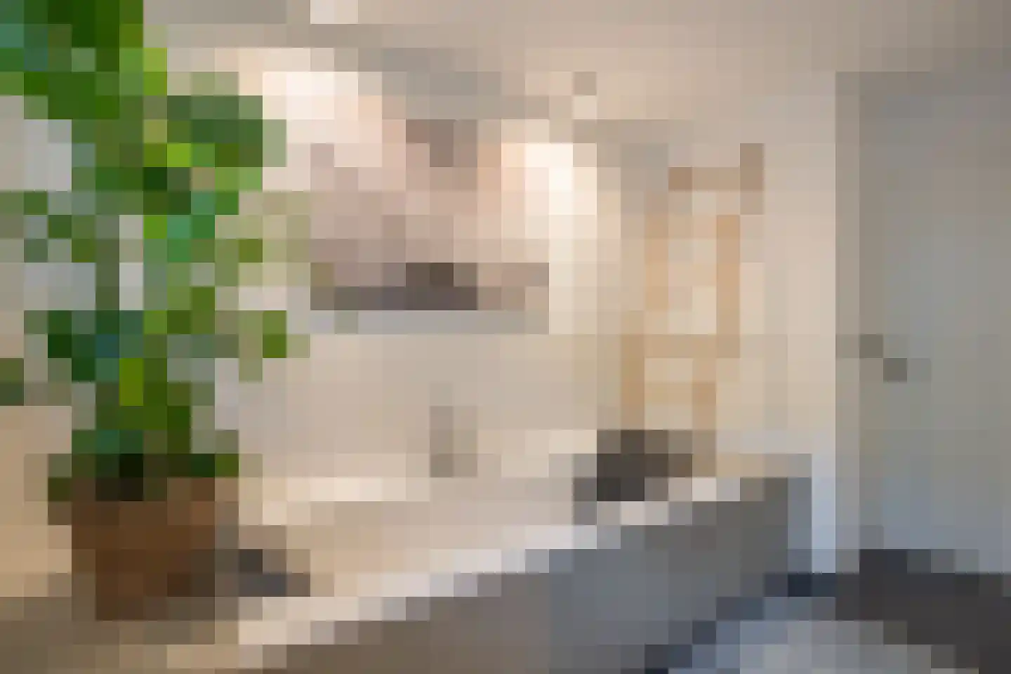 Eikenheuveldreef 7 Vught thumbnail 36