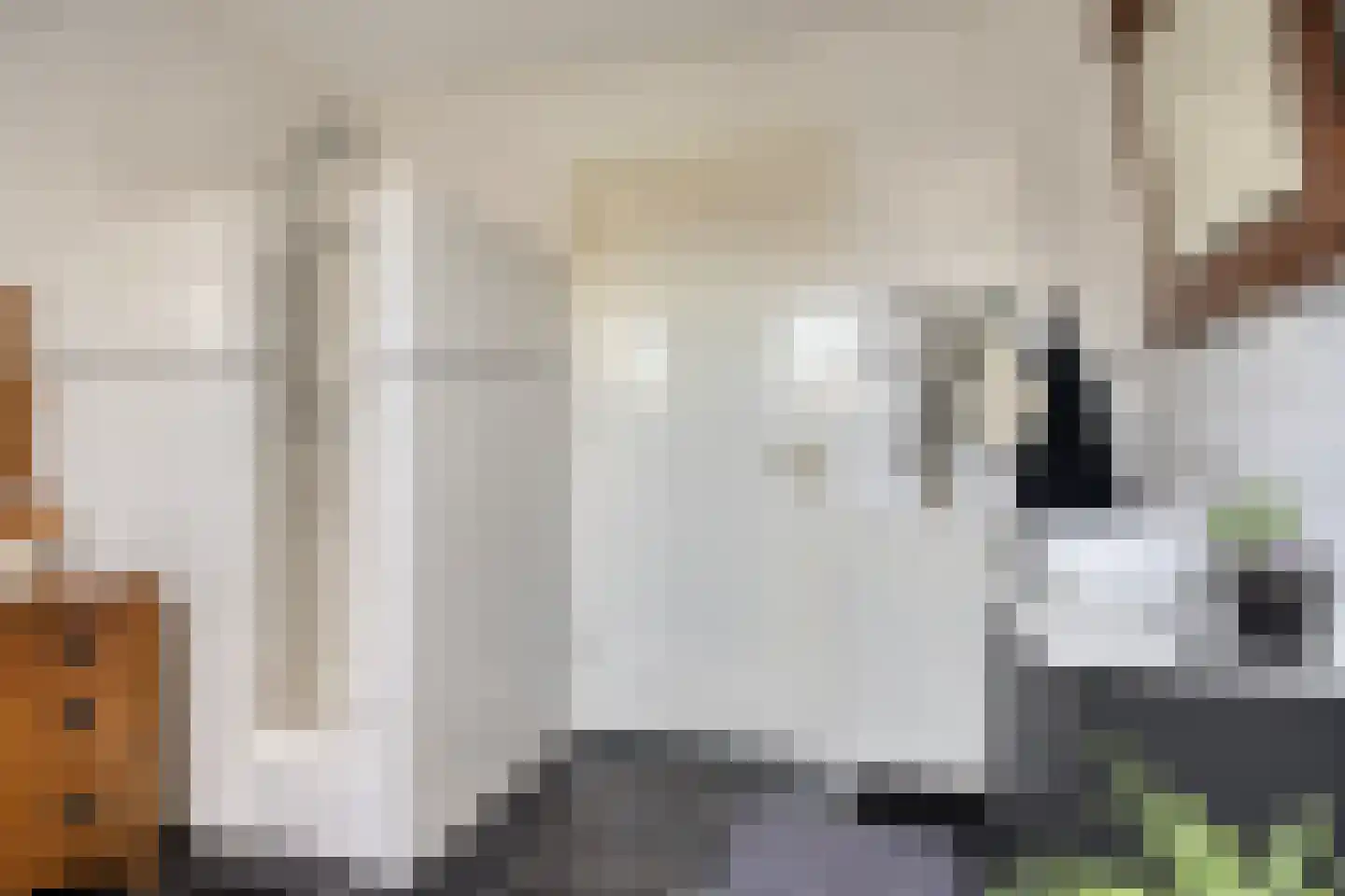 Eikenheuvelweg 16 Uden thumbnail 37