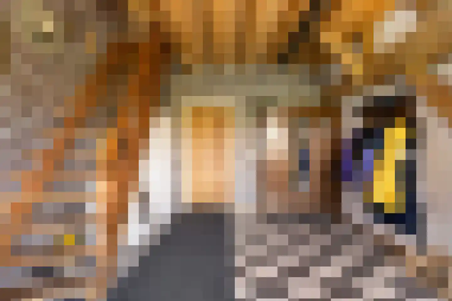 Eikenheuvelweg 16 Uden thumbnail 48