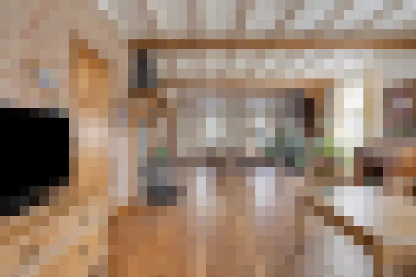Eikenheuvelweg 16 Uden thumbnail 5