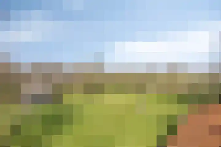 Eikenheuvelweg 16 Uden thumbnail 51