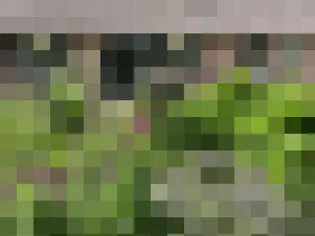 Eikenheuvelweg 16 Uden thumbnail 53