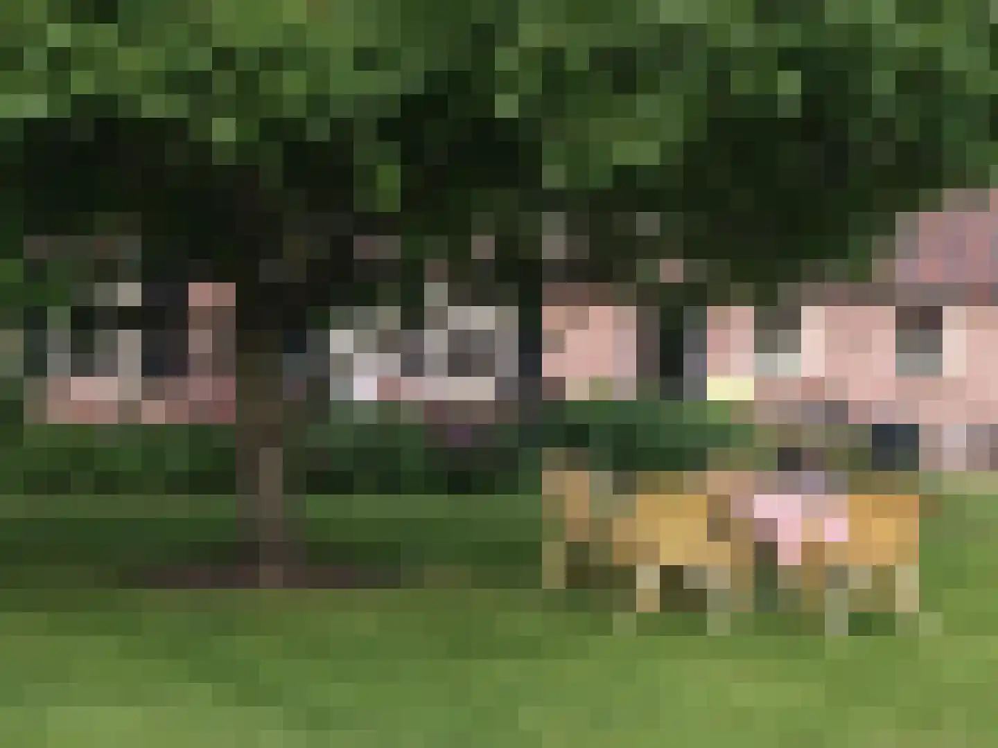Eikenheuvelweg 16 Uden thumbnail 54
