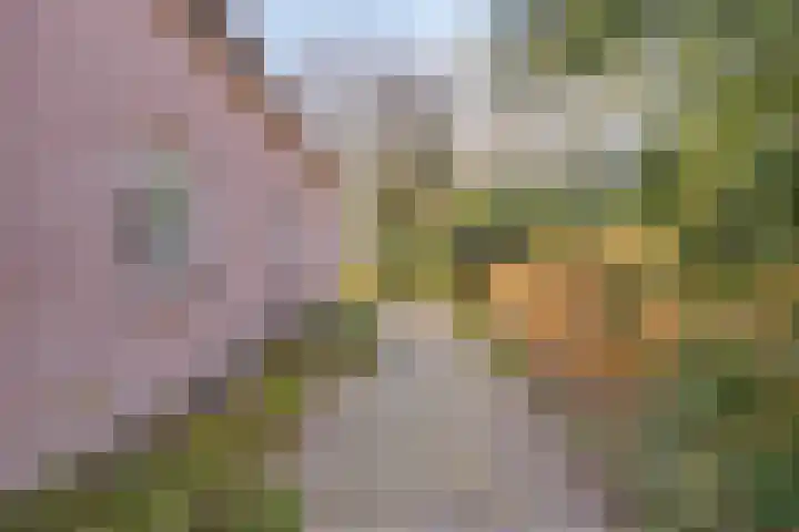 Eikenheuvelweg 16 Uden thumbnail 55