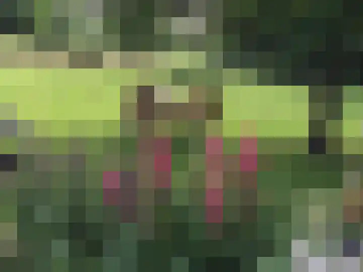 Eikenheuvelweg 16 Uden thumbnail 59