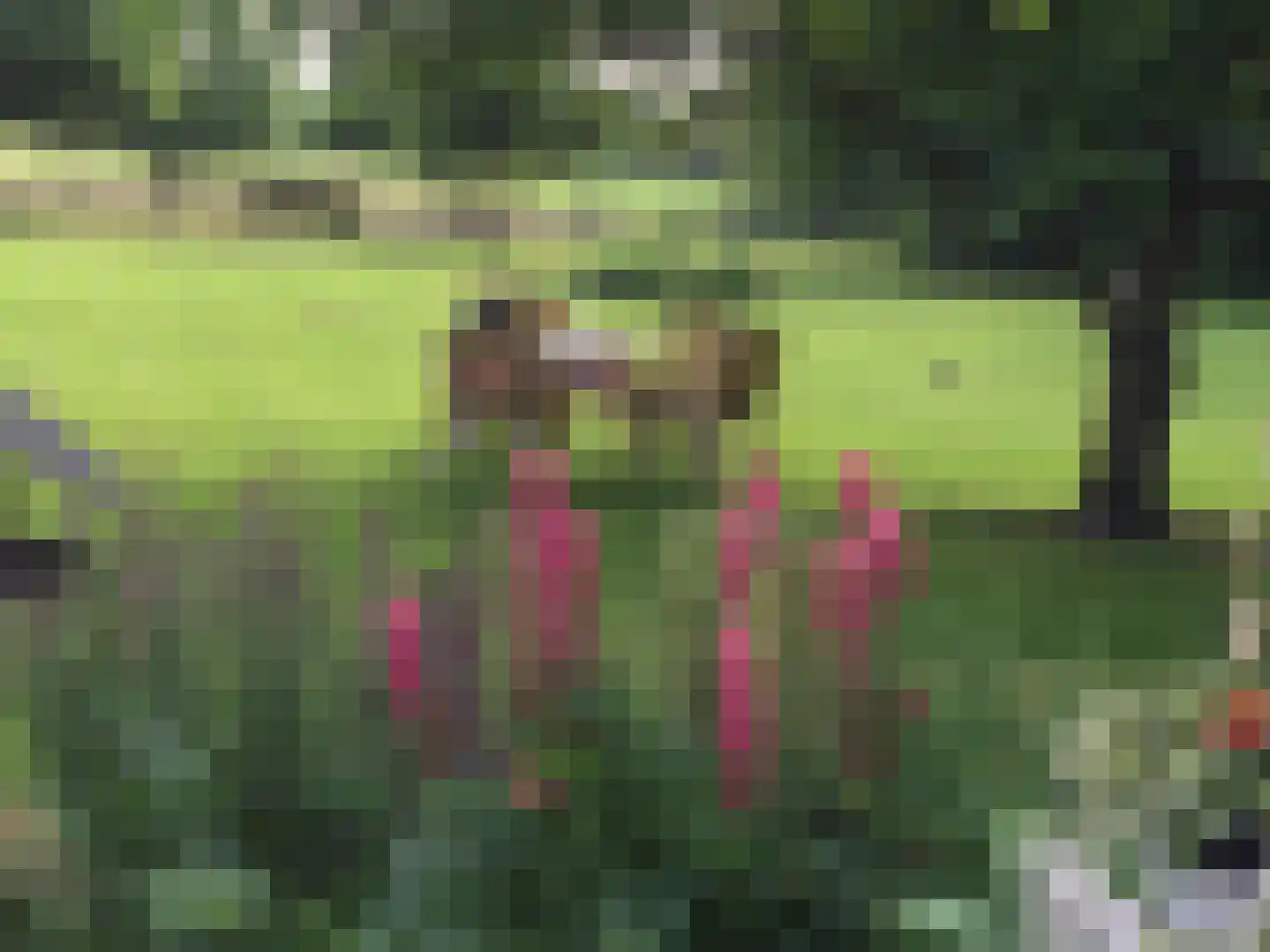 Eikenheuvelweg 16 Uden thumbnail 59