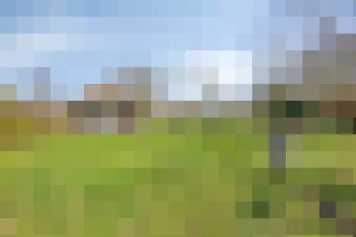 Eikenheuvelweg 16 Uden thumbnail 60