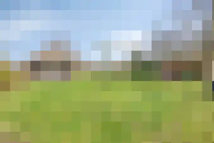 Eikenheuvelweg 16 Uden thumbnail 61