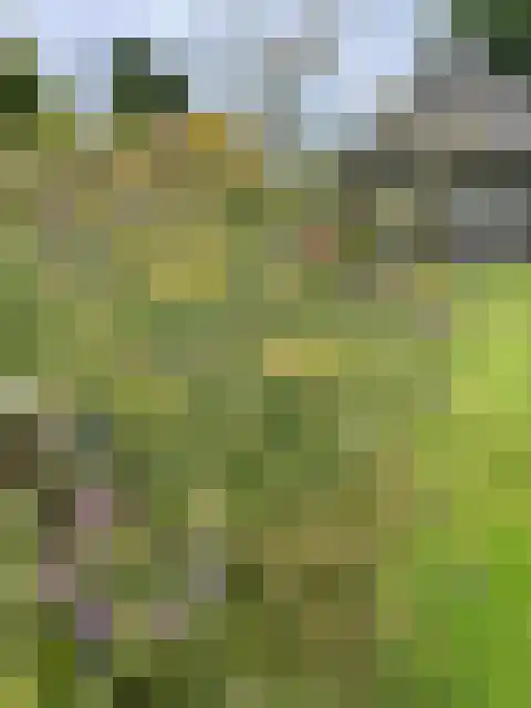Eikenheuvelweg 16 Uden thumbnail 64