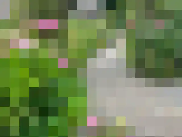 Eikenheuvelweg 16 Uden thumbnail 65