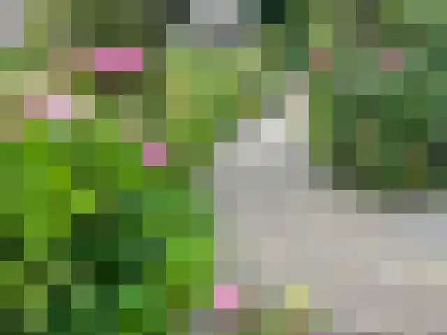 Eikenheuvelweg 16 Uden thumbnail 65