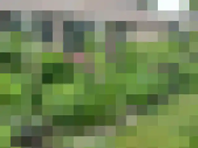 Eikenheuvelweg 16 Uden thumbnail 66