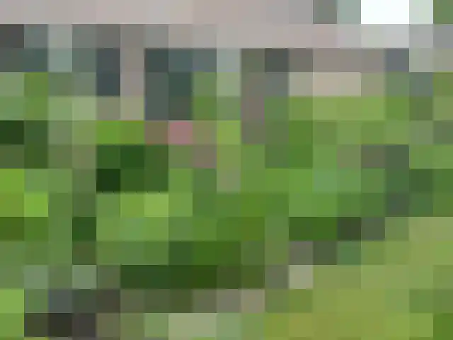 Eikenheuvelweg 16 Uden thumbnail 66