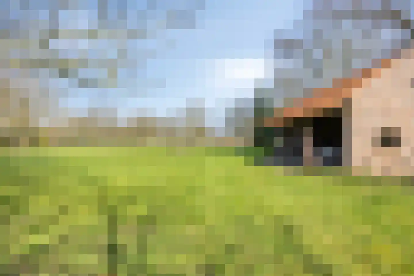 Eikenheuvelweg 16 Uden thumbnail 67